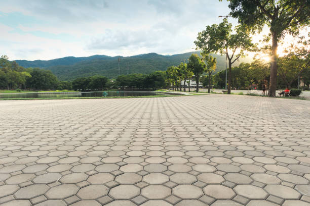 Best Decorative Driveway Pavers  in Pocono Springs, PA